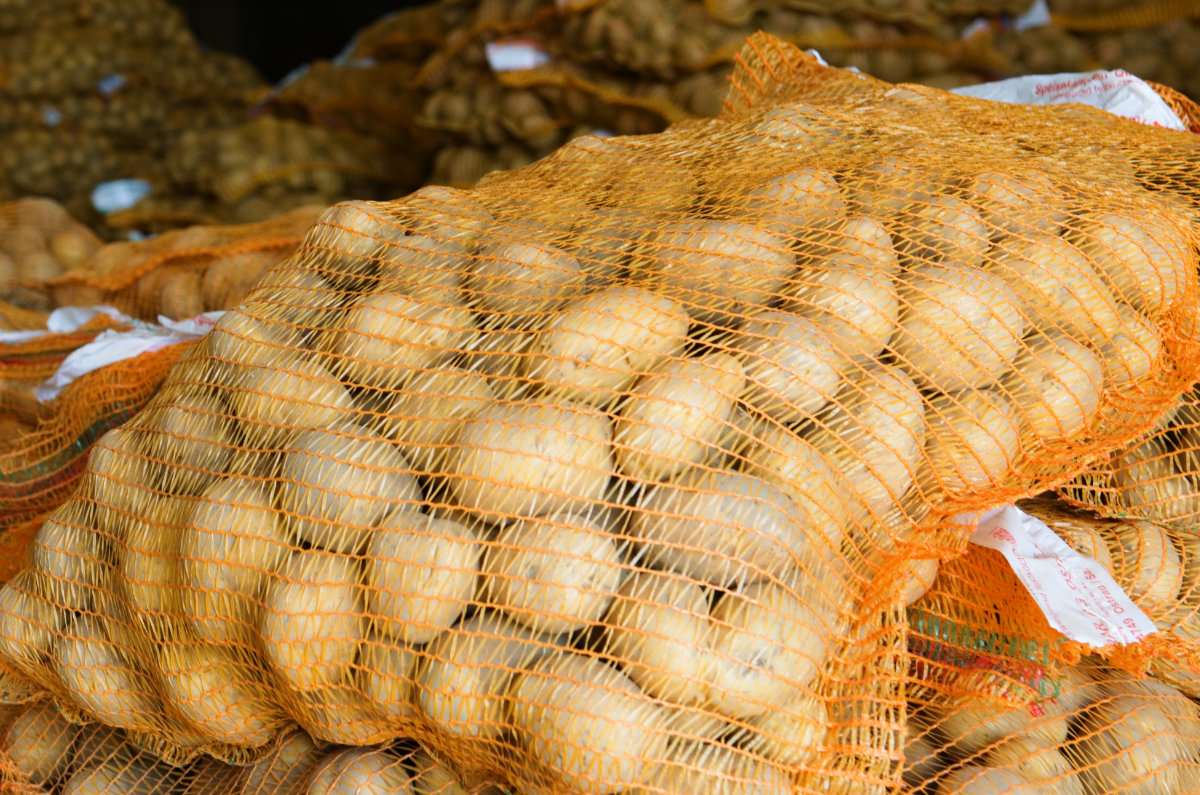 Sack mit frisch geernteten Kartoffeln direkt vom Bauernhof in Sachsen kaufen