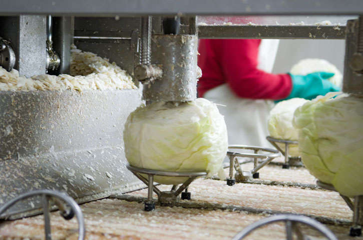 Sauerkrautherstellung in Sachsen: Strunk ausbohren