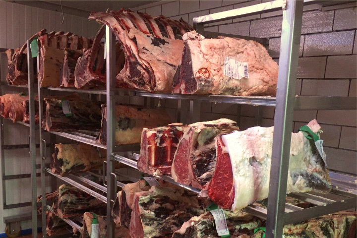 Reiferaum für Dry Aged Beef in Dürrröhrsdorf bei Dresden, Pirna, Stolpen